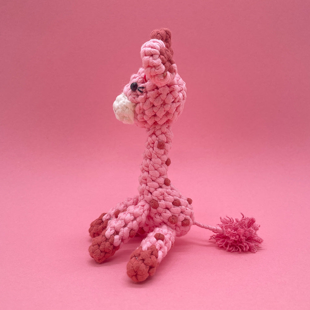 Cute Giraffe - Crochet Kit