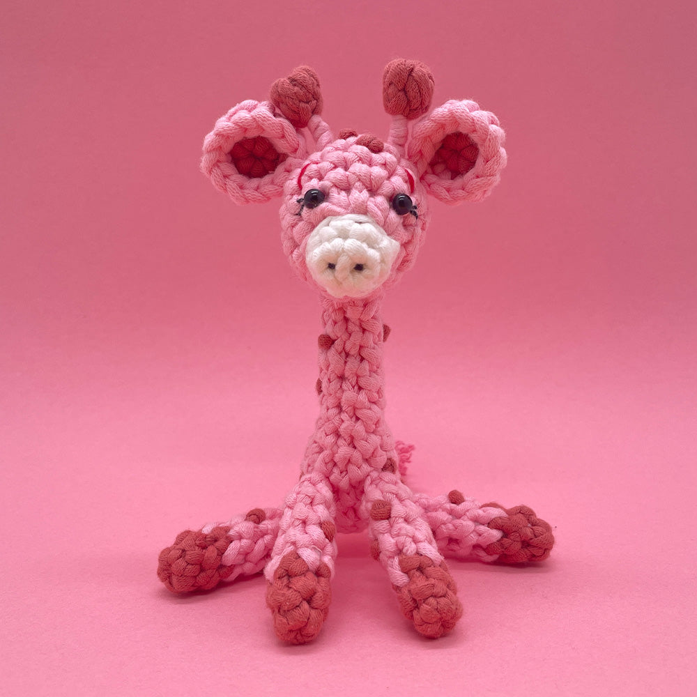 Cute Giraffe - Crochet Kit