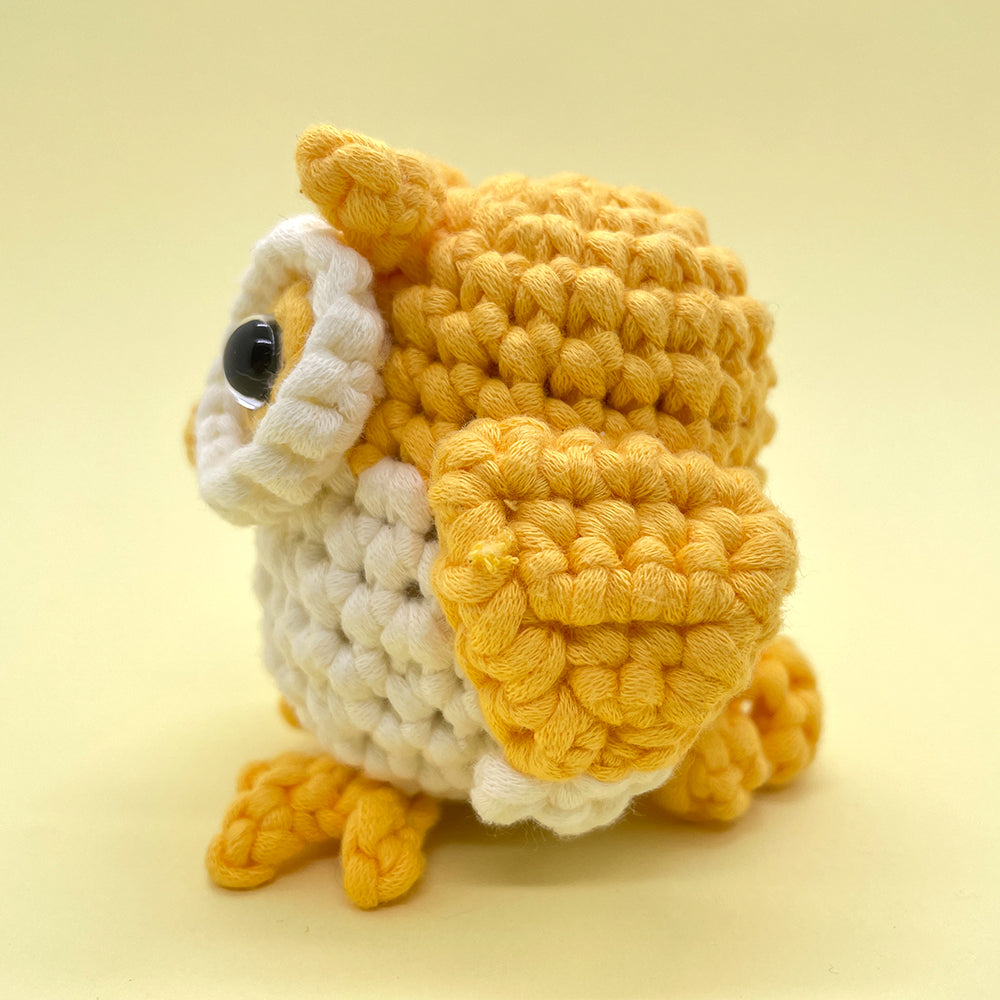 Owl Couple - Crochet Kit
