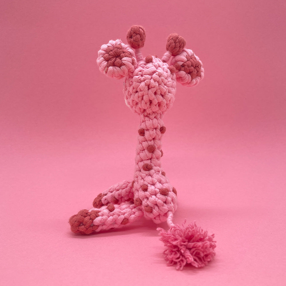 Cute Giraffe - Crochet Kit